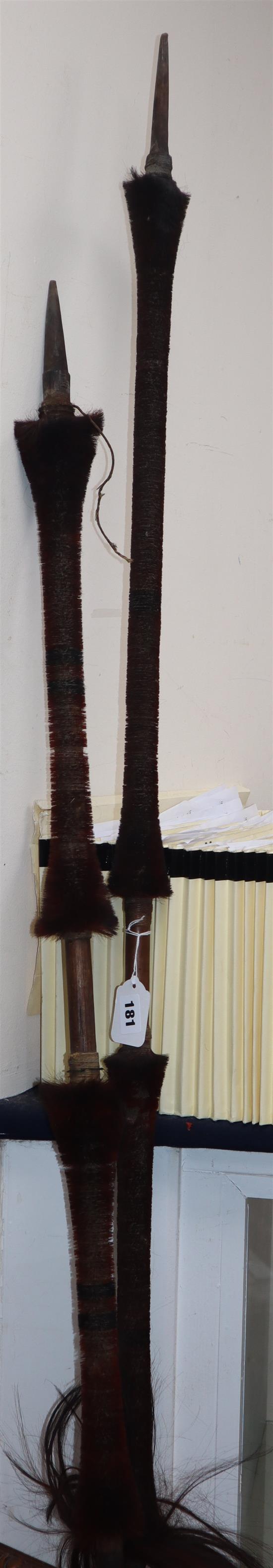 Two Naga spears, velvet mounted